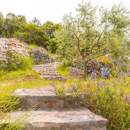 Meadow Hill Vikendica Zrnovo