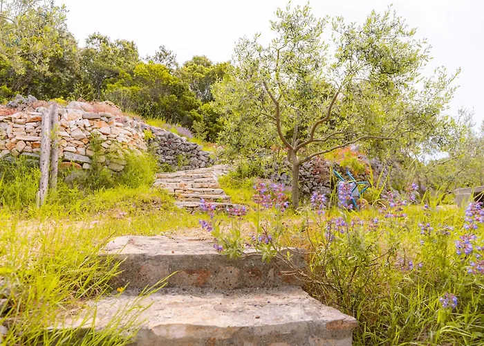 Meadow Hill Hébergement de vacances Zrnovo