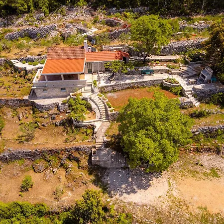 Meadow Hill * Zrnovo