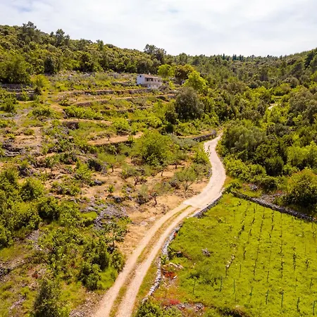 Meadow Hill Zrnovo